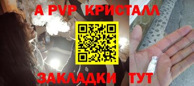 хмурый Кингисепп