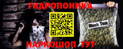 apvp Кимры