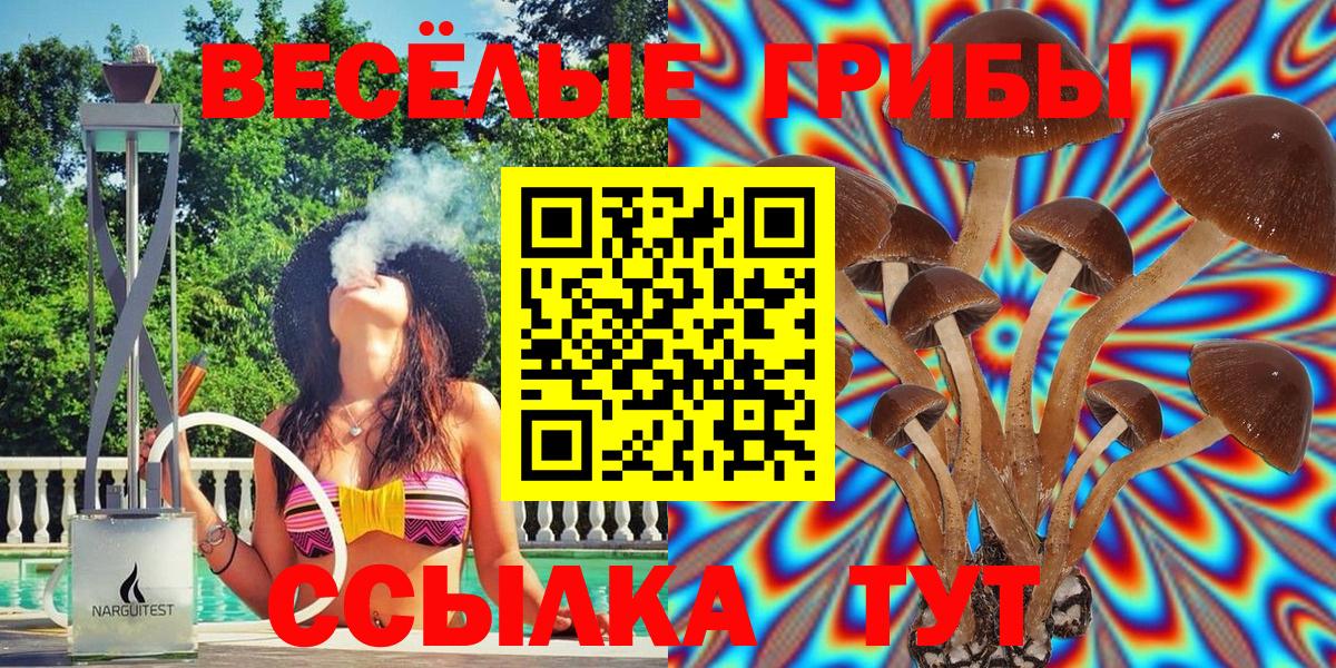 Галлюциногенные грибы Psilocybe  Вход с VPN  Кимры  Псилоцибиновые грибы MAGIC MUSHROOMS 