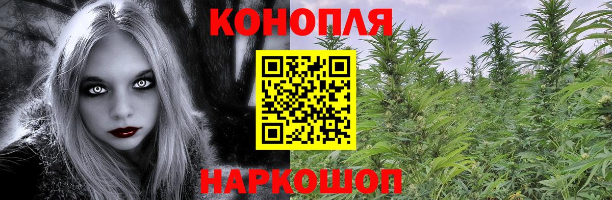 Бошки Шишки OG Kush Кимры